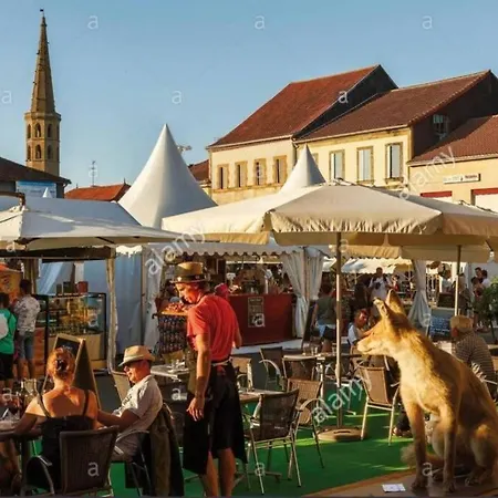 Villa Maison Dream In Marciac