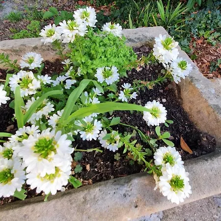 Maison Dream In Villa