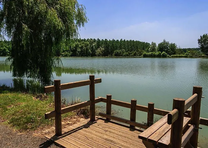 ヴィラ Maison Dream In