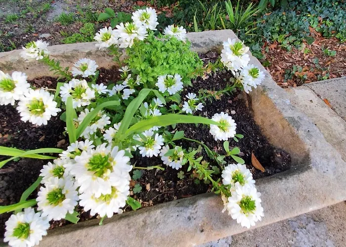 Maison Dream In Villa